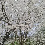 Apartamento Ferienunterkunft Am Schloss