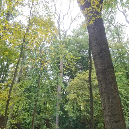 Apartment Ferienunterkunft Am Schloss Eckartsberga