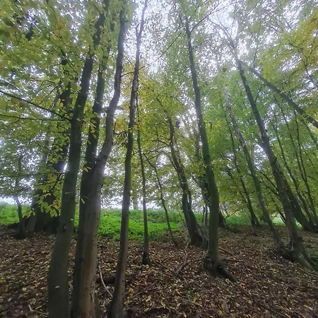 Ferienunterkunft Am Schloss Apartment Eckartsberga
