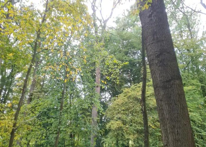 Apartment Ferienunterkunft Am Schloss Eckartsberga