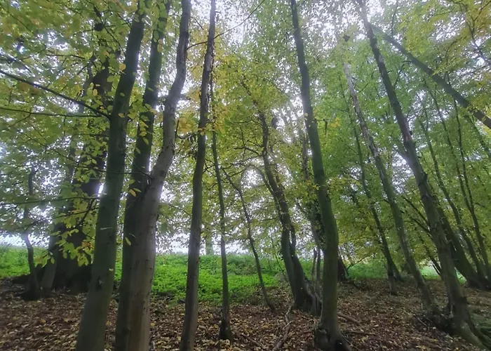 Ferienunterkunft Am Schloss Apartment Eckartsberga